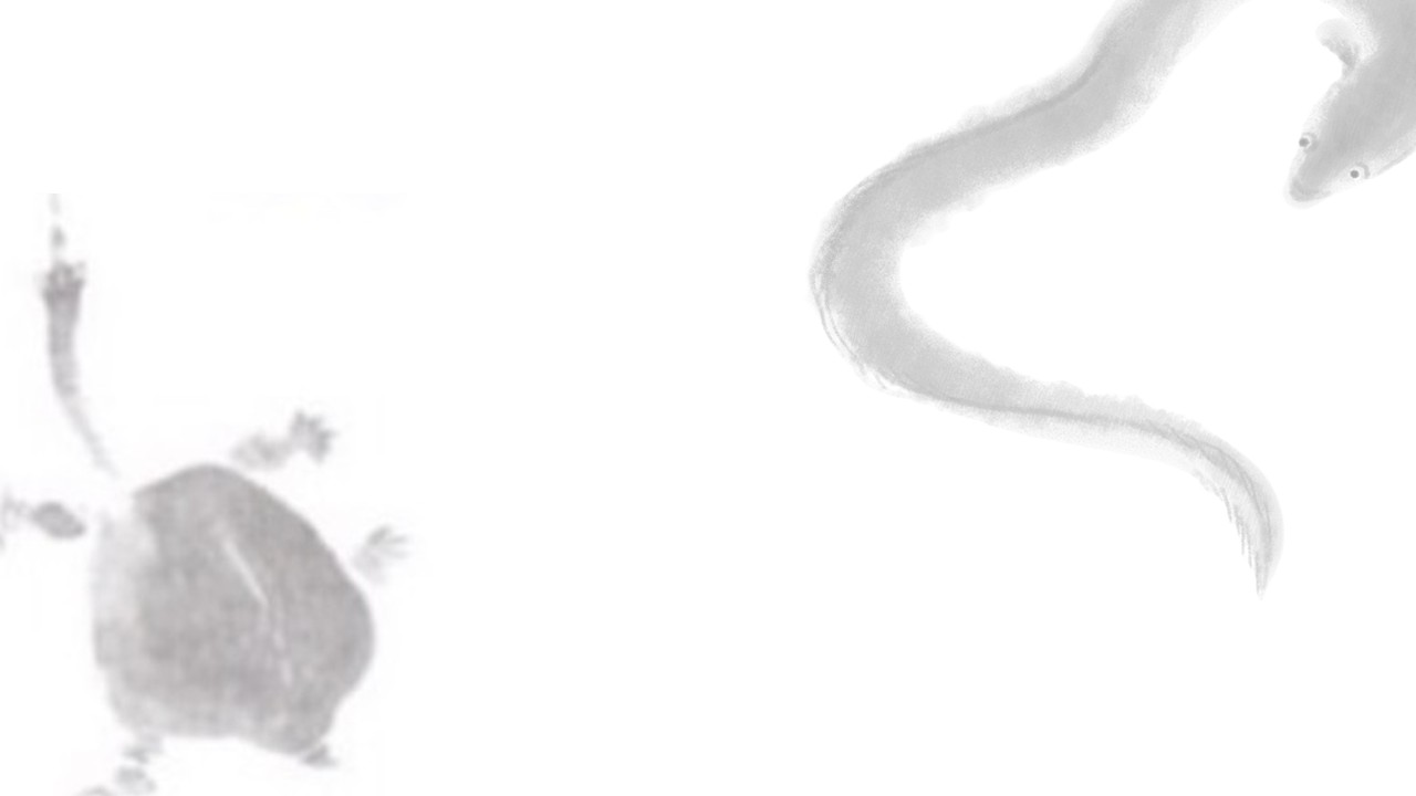 うなぎとすっぽんイラスト
